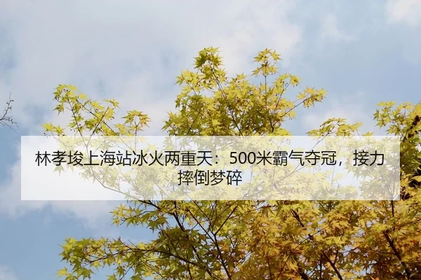 林孝埈上海站冰火两重天：500米霸气夺冠，接力摔倒梦碎