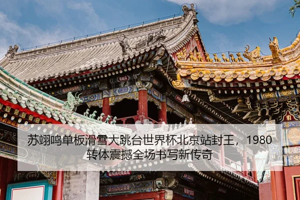 su-yi-ming-dan-ban-hua-xue-da-tiao-tai-shi-jie-bei-bei-jing-zhan-feng-wang-zhuan-ti-zhen-han-quan-chang-shu-xie-xin-2-875.jpg