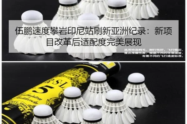 伍鹏速度攀岩印尼站刷新亚洲纪录：新项目改革后适配度完美展现