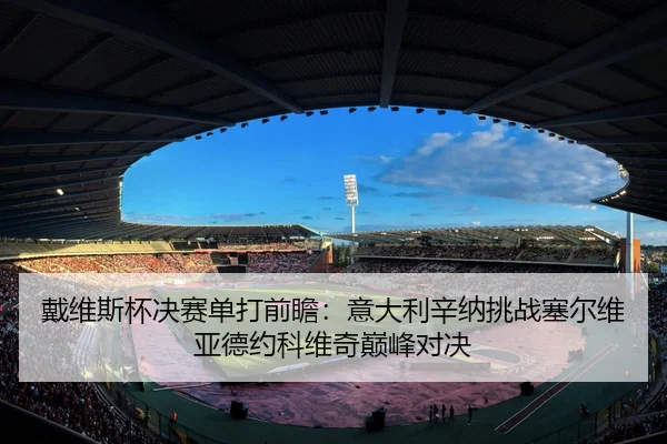 戴维斯杯决赛单打前瞻：意大利辛纳挑战塞尔维亚德约科维奇巅峰对决